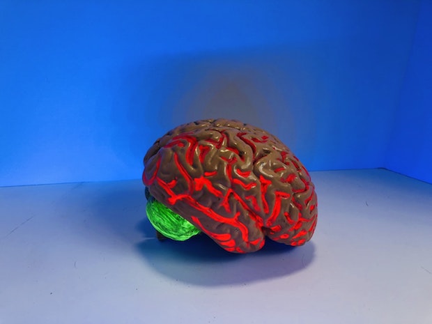A model of a brain lit up